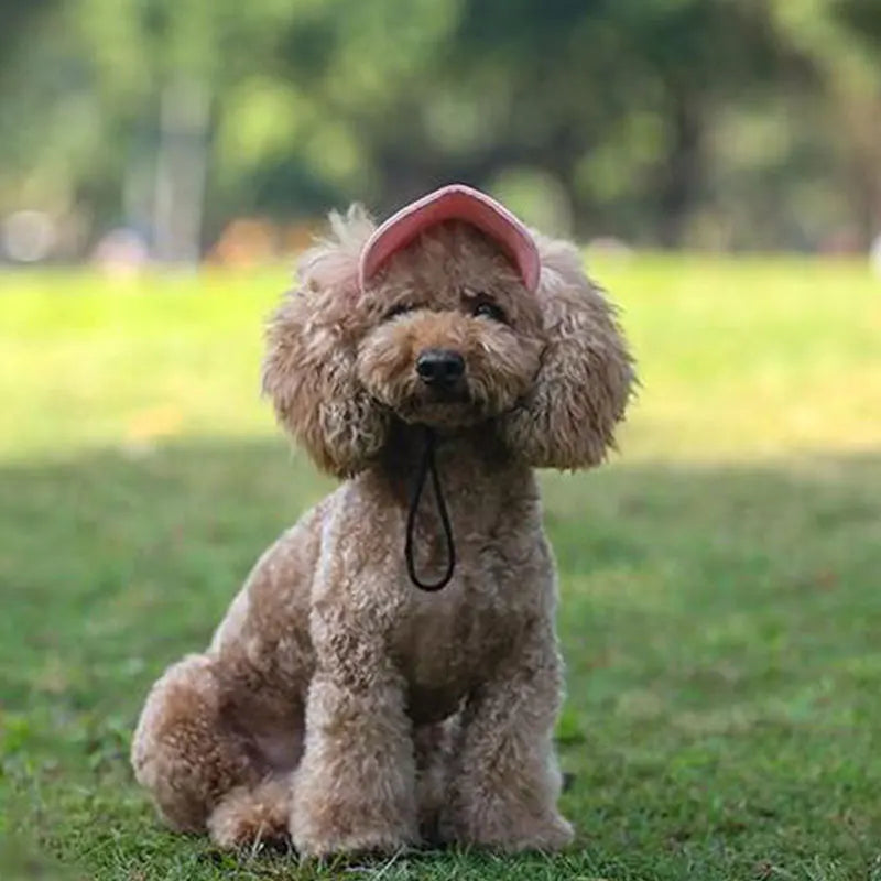 BONÉ PARA CÃO DE ESTIMAÇÃO.