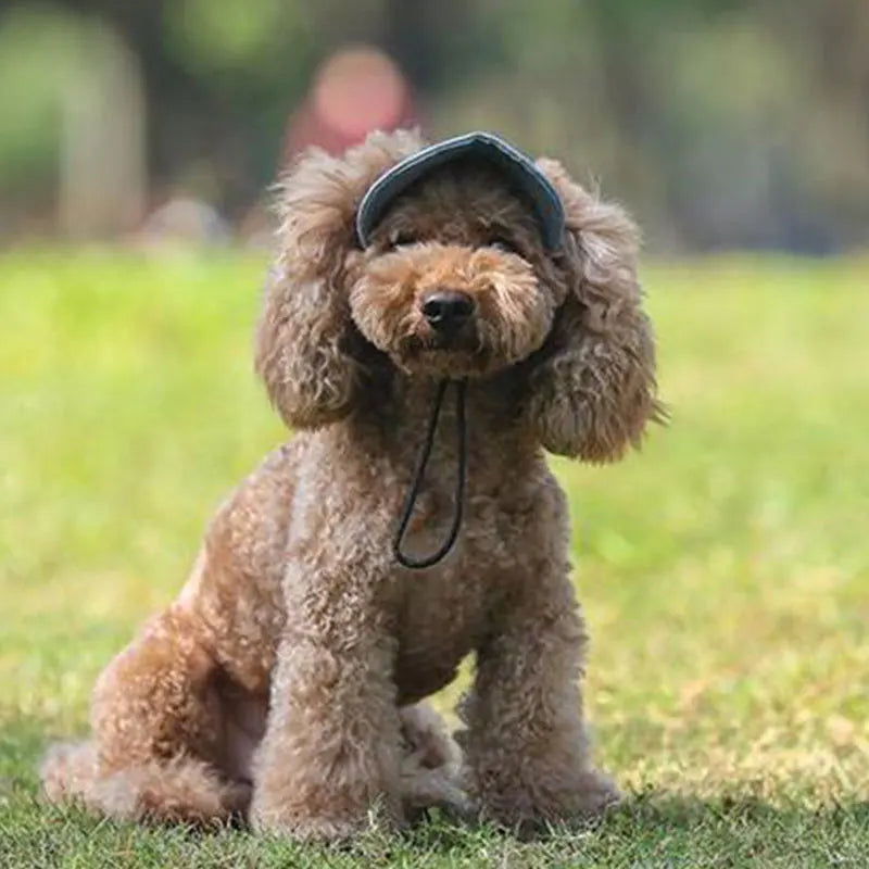 BONÉ PARA CÃO DE ESTIMAÇÃO.